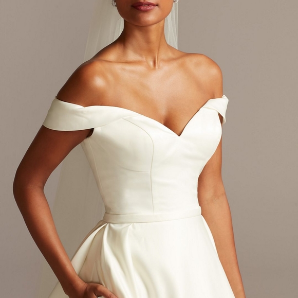 David's Bridal Wedding Dress - Picture 3 of 6